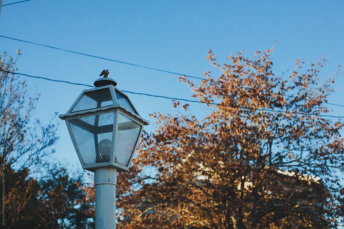 Vintage style street lamp set in front of fall trees