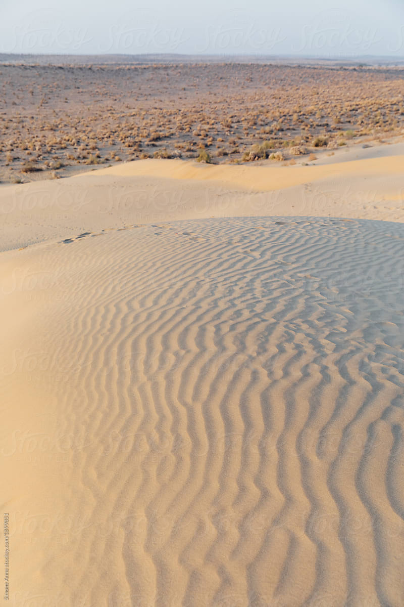 Patterns in the sand dunes at dawn