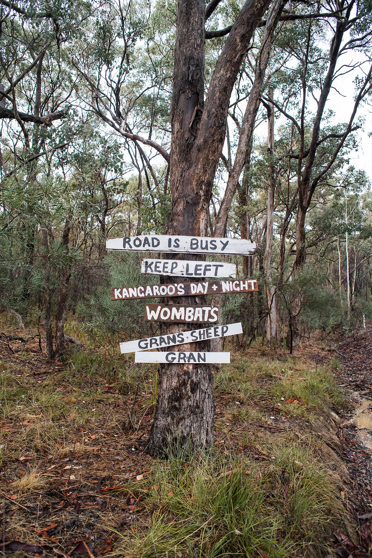 Handmade sign to warn of australian wildlife crossing on country