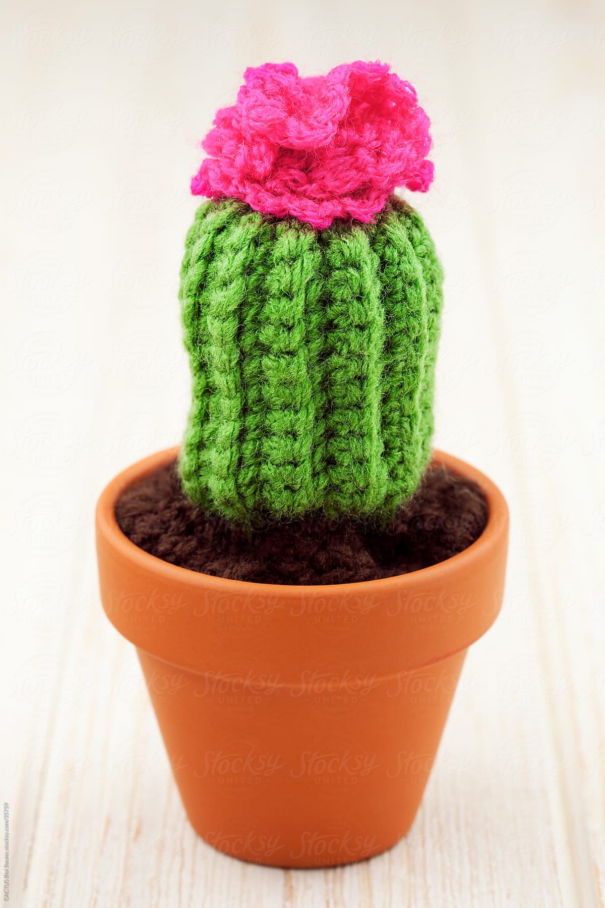 Amigurumi, handmade cactus.