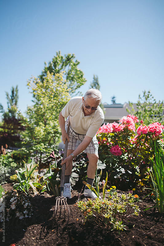 Happy, older caucasian man gardening on sunny day