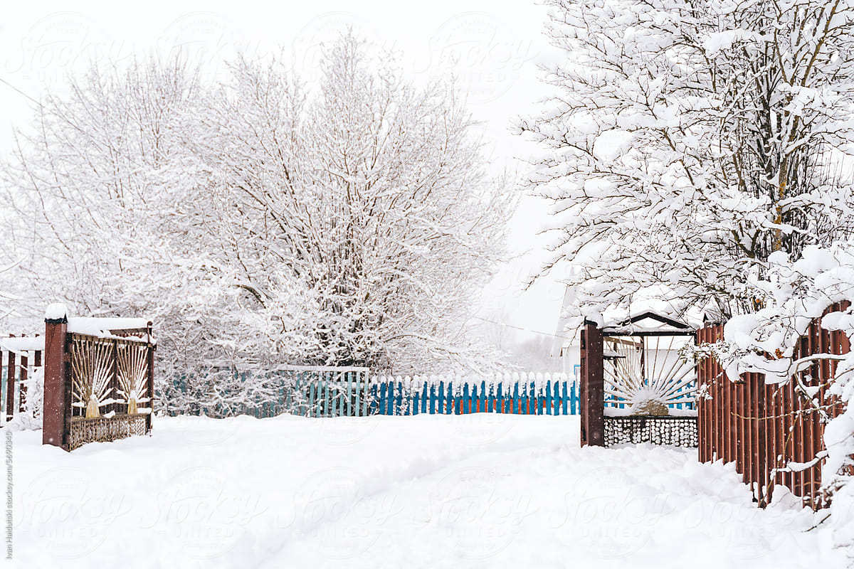quiet house, snowy open gate, blue fence, hidden path in winter suburb