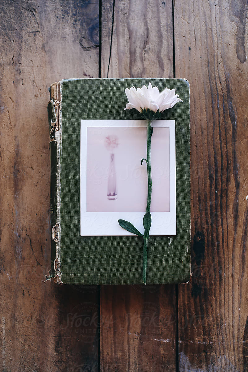 Single flower and polaroid on vintage green book on wood background - vertical