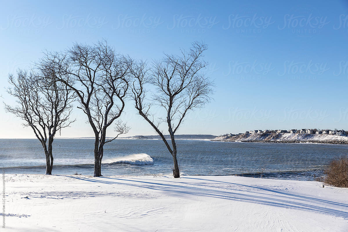 Massachusetts  Coast in cold Winter Landscape  with lone wave