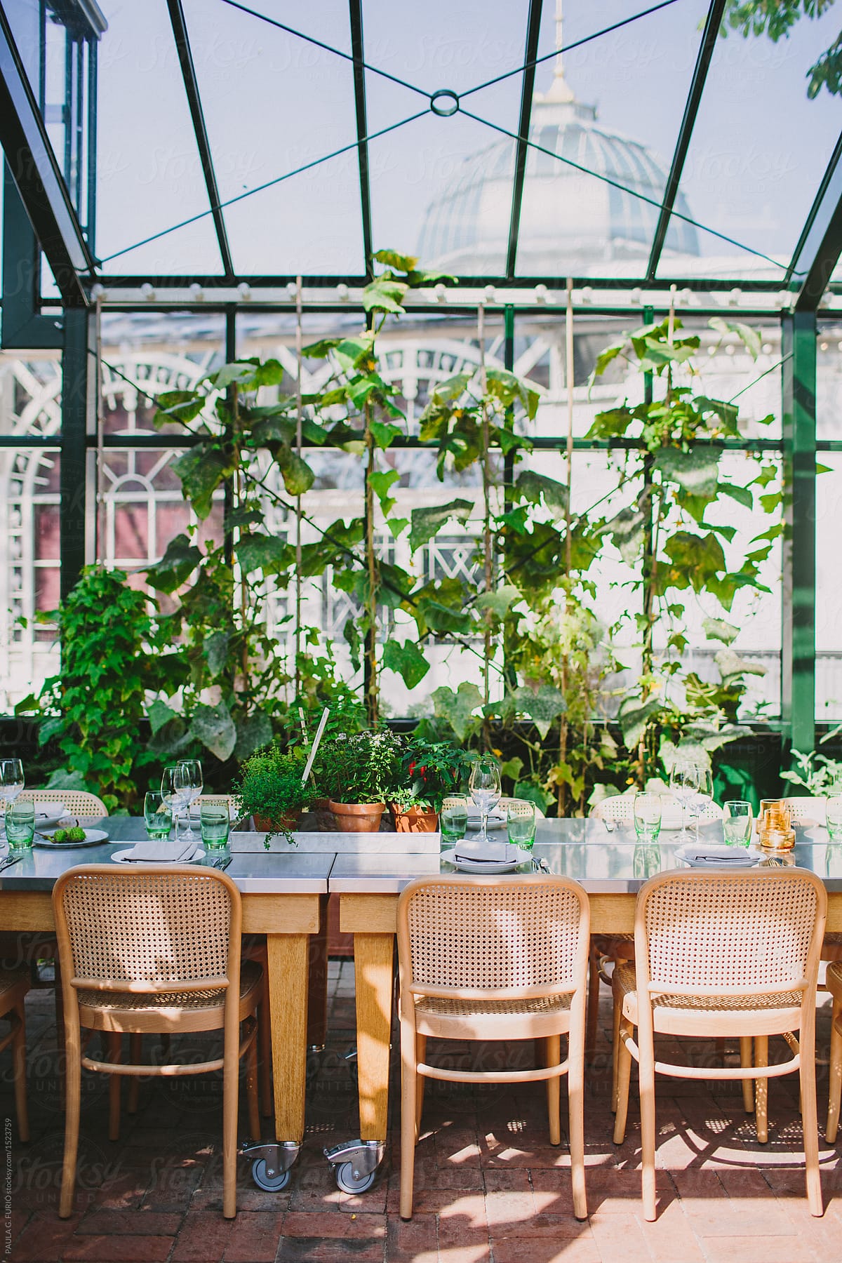 Lunch in a greenhouse