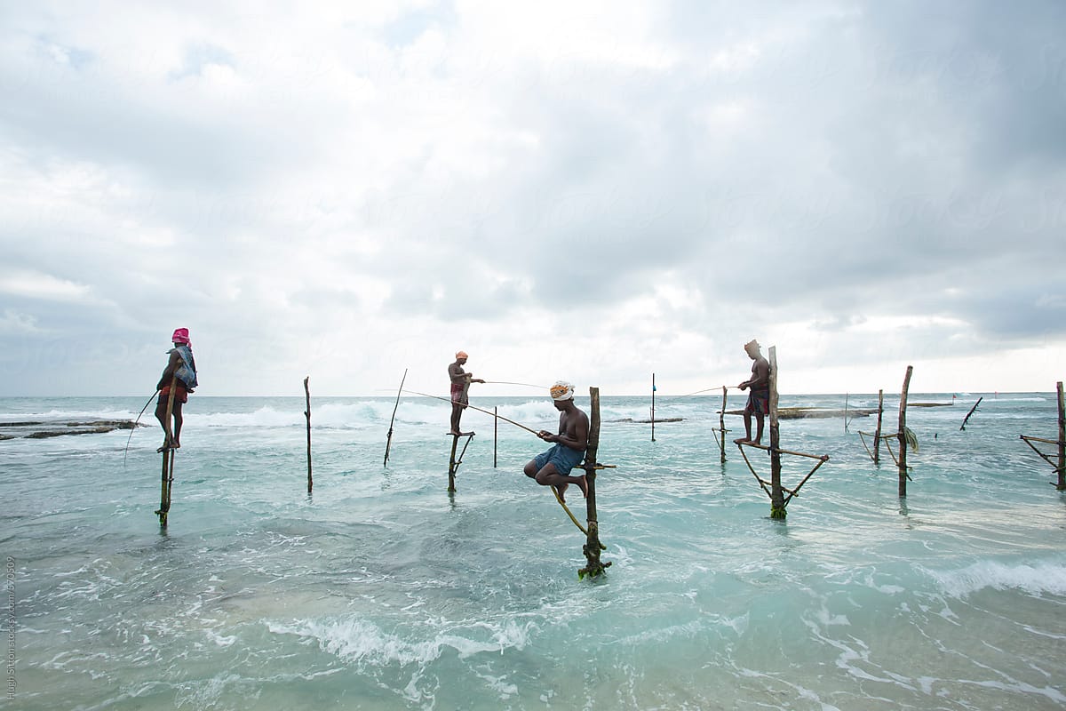 Stilt Fishermen. Sri Lanka.