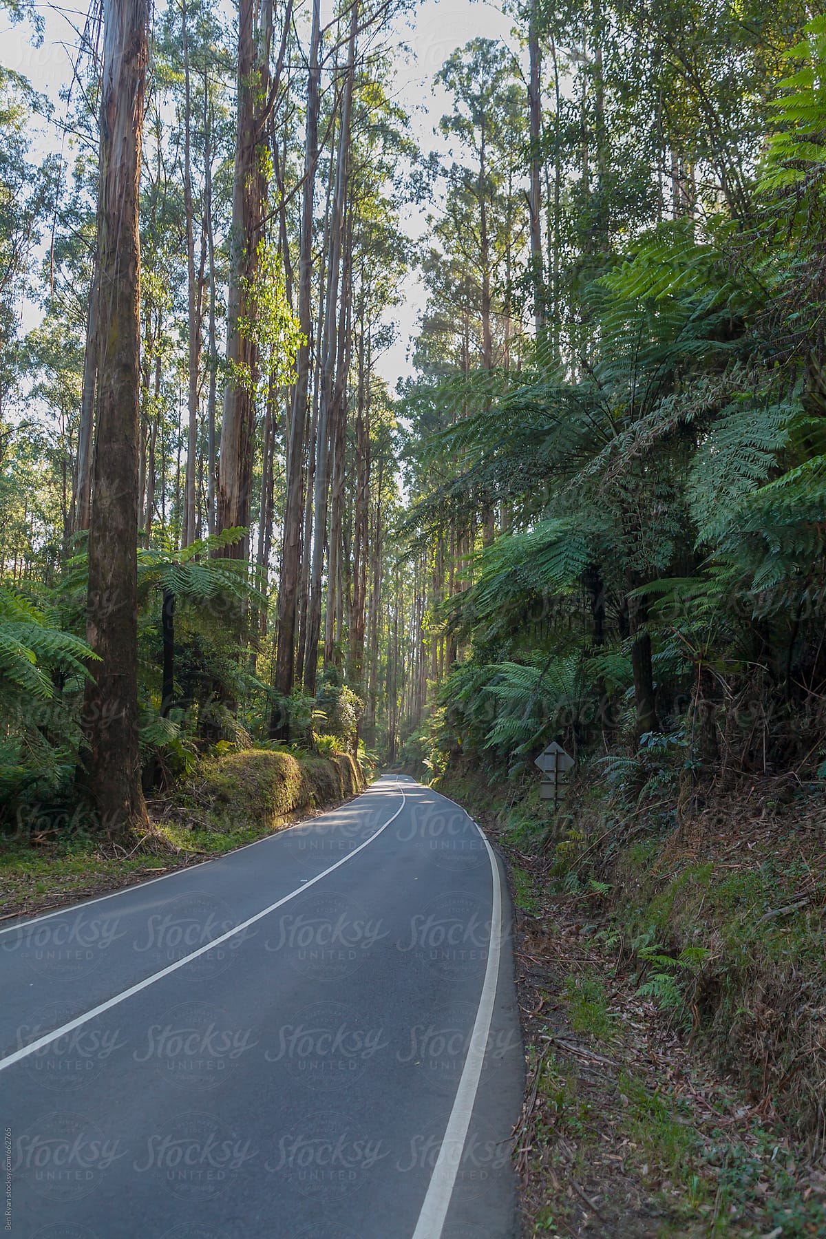 Remote road winding through Australian bush
