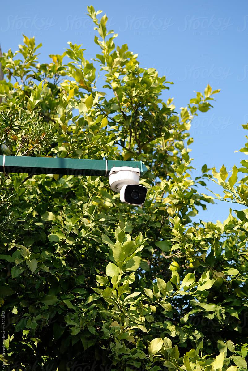 Surveillance video camera