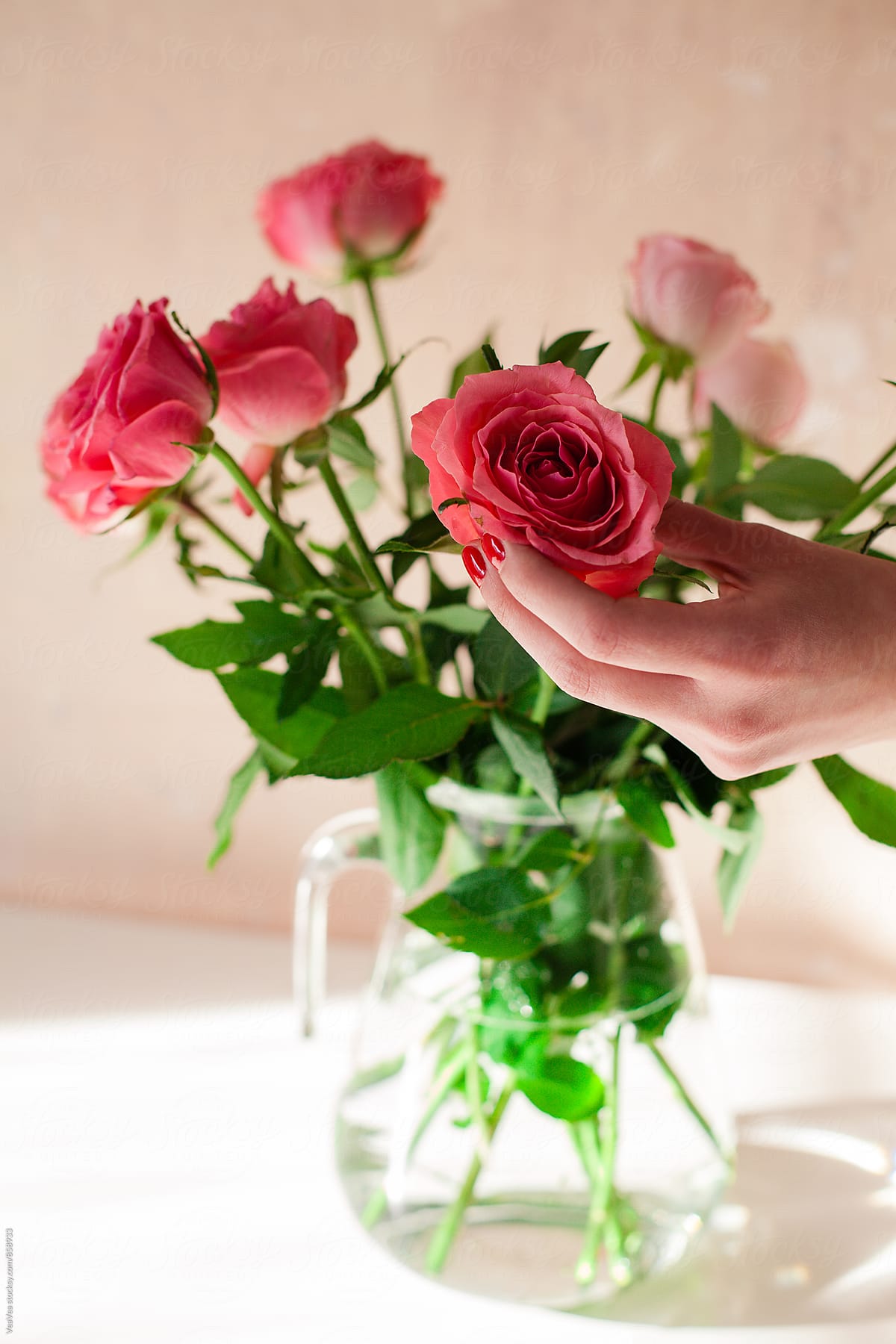 Female hands arranging a bouquet of roses indoor