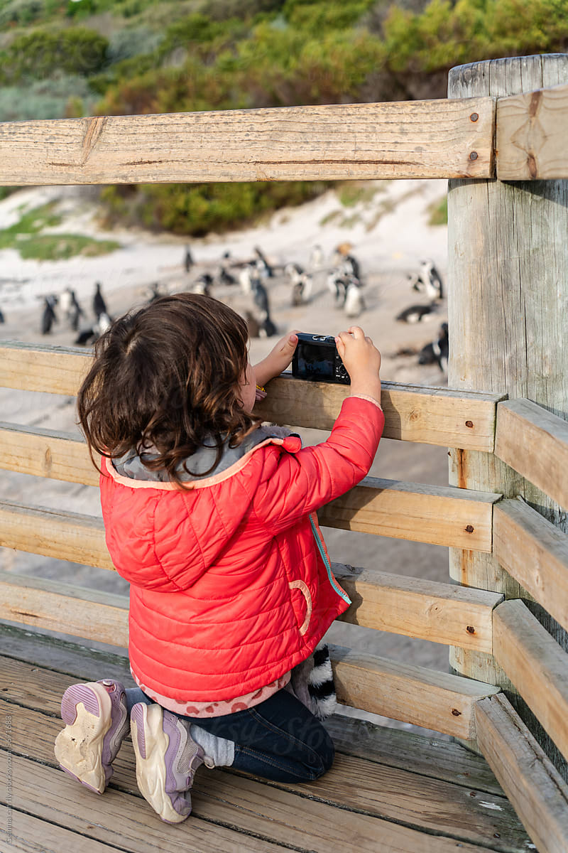 Kid taking photos to penguins. Travel to South Africa