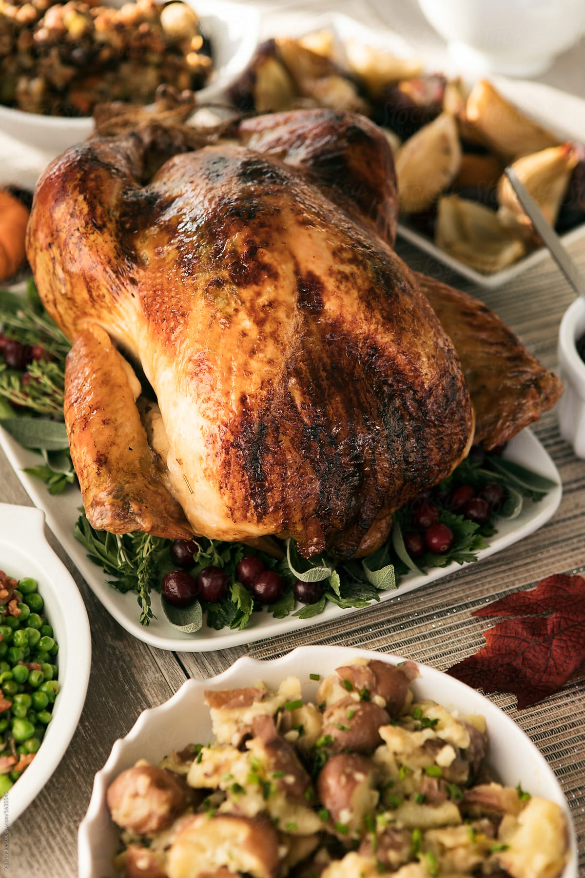 Thanksgiving: Roast Turkey On Table With Side Dishes
