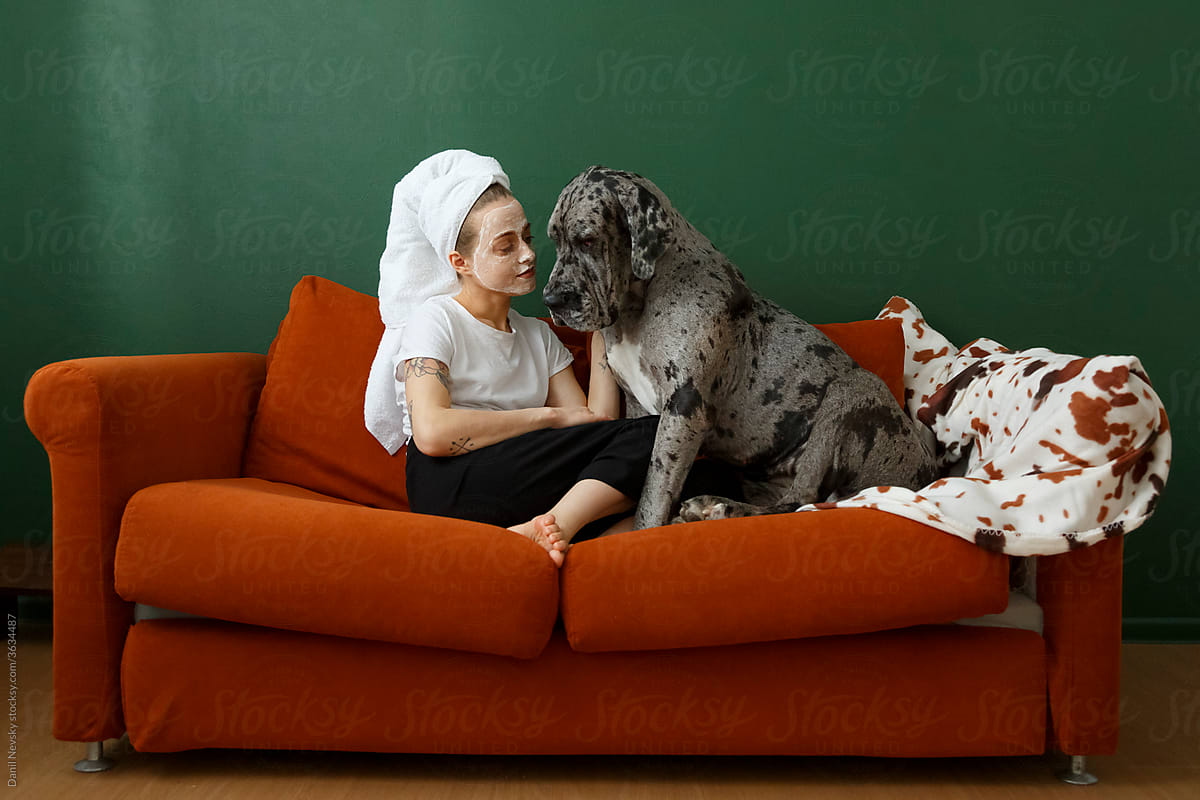 Young woman with cosmetic mask caressing dog on couch