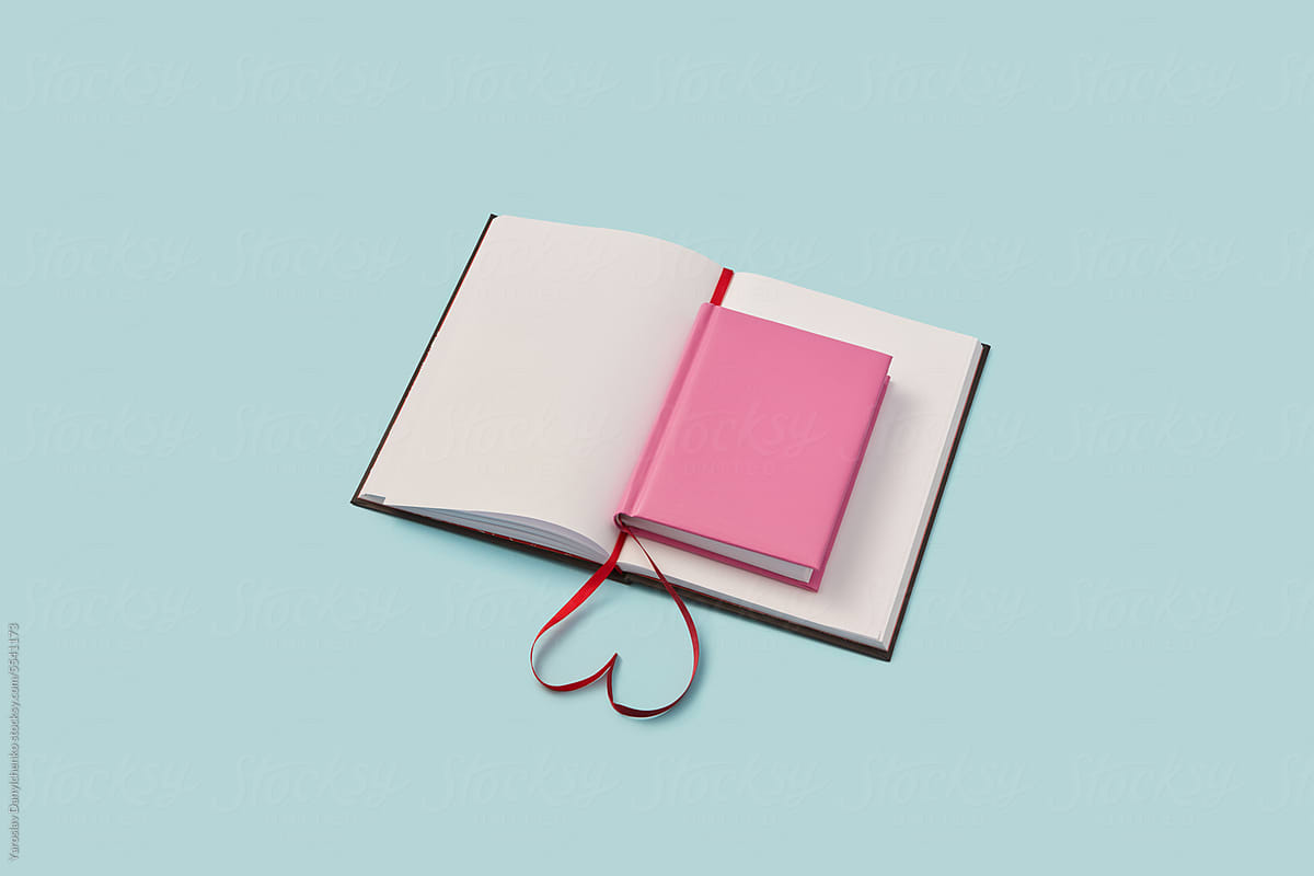Pink book laid on open blank notebook.