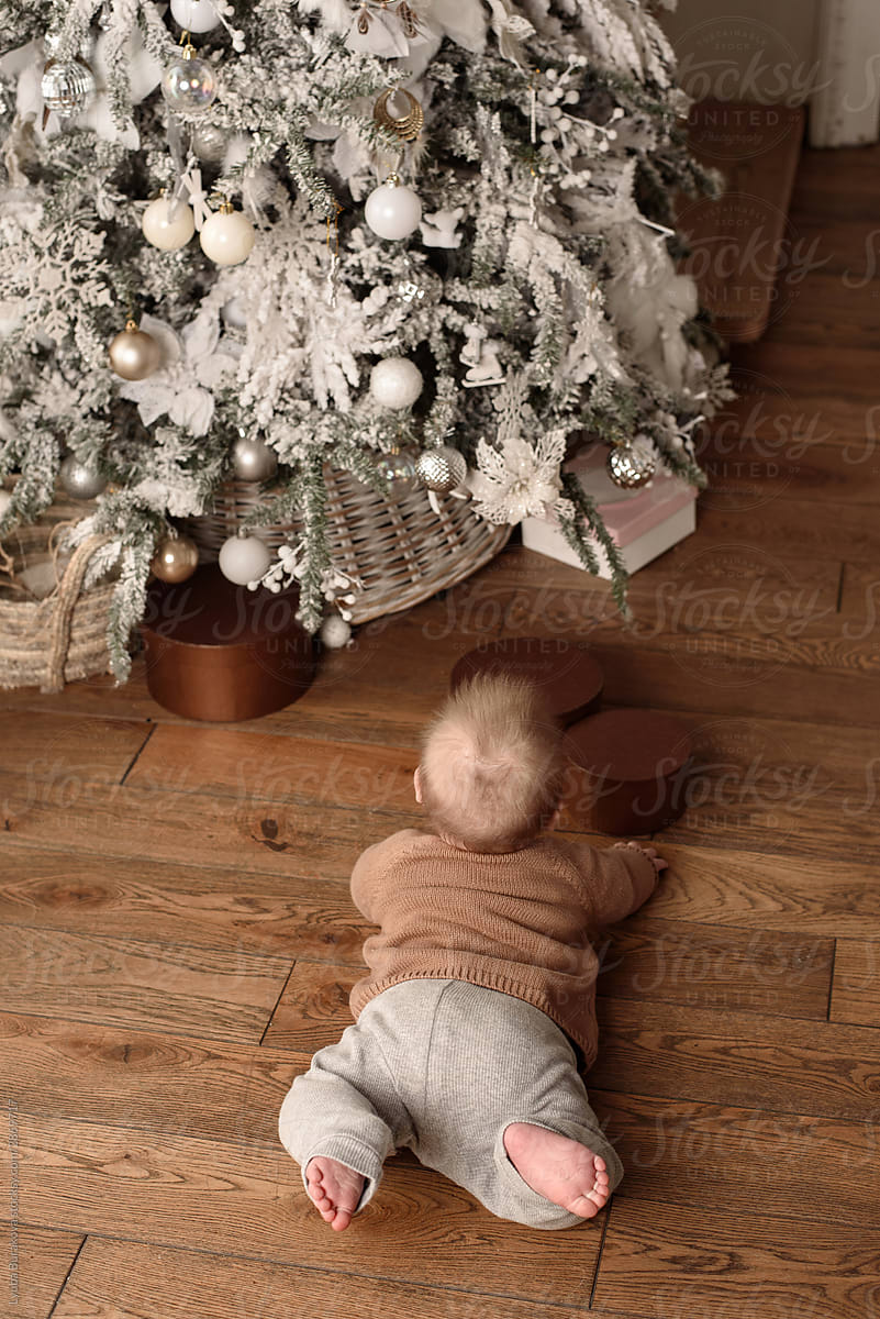 Baby lying in front of christmas tree