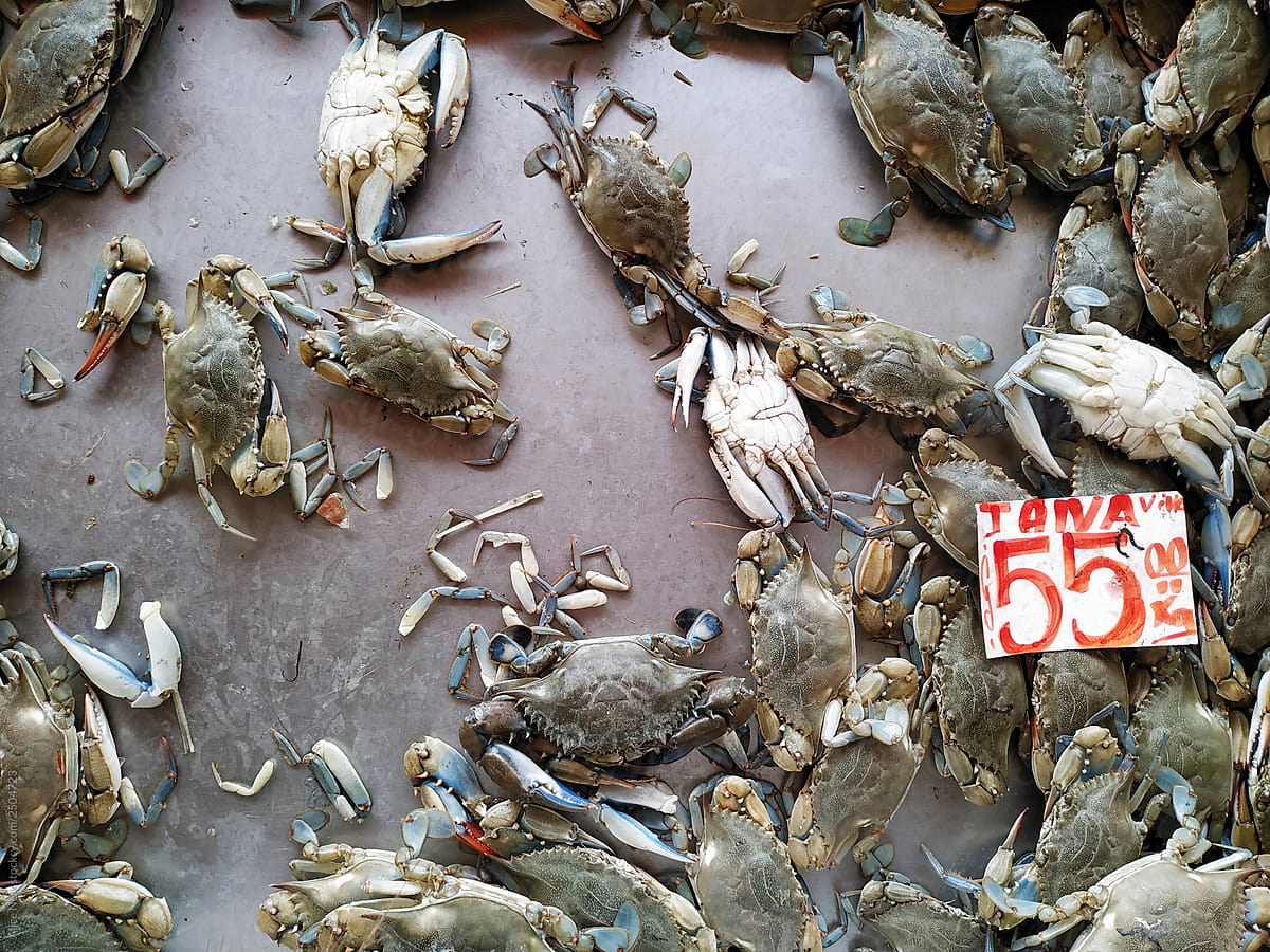 Alive crabs at the market