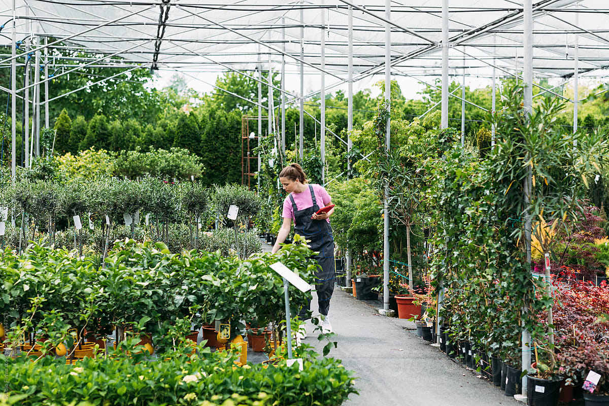 Young Woman Working in Greenhouse