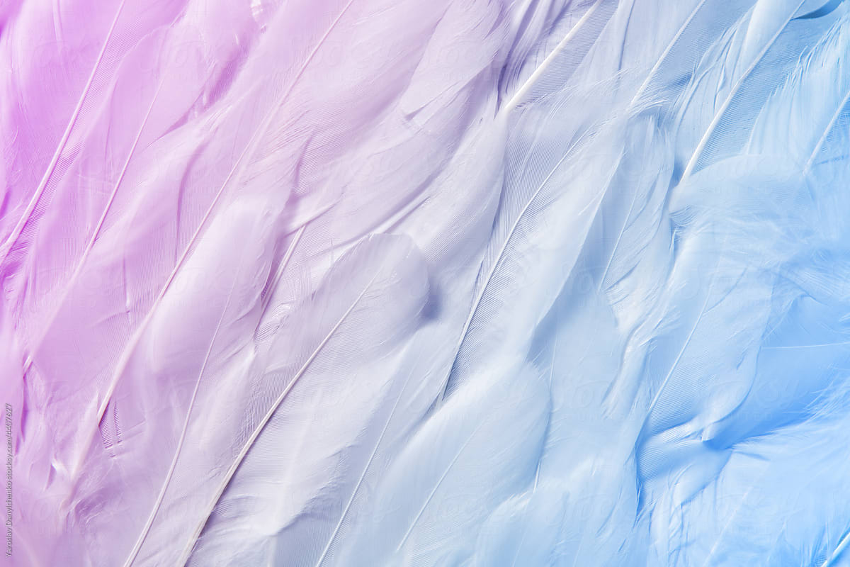 Seamless pattern of feathers with ombre effect