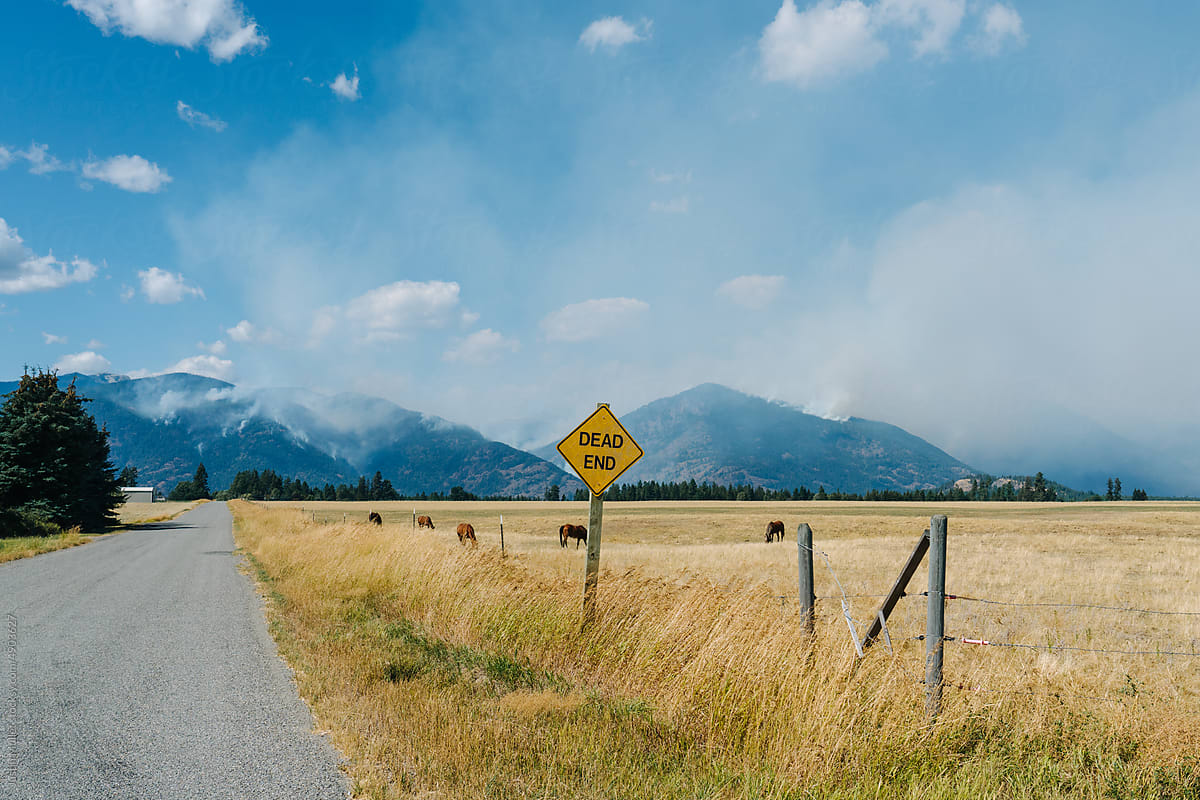 Dead end road with wildfires