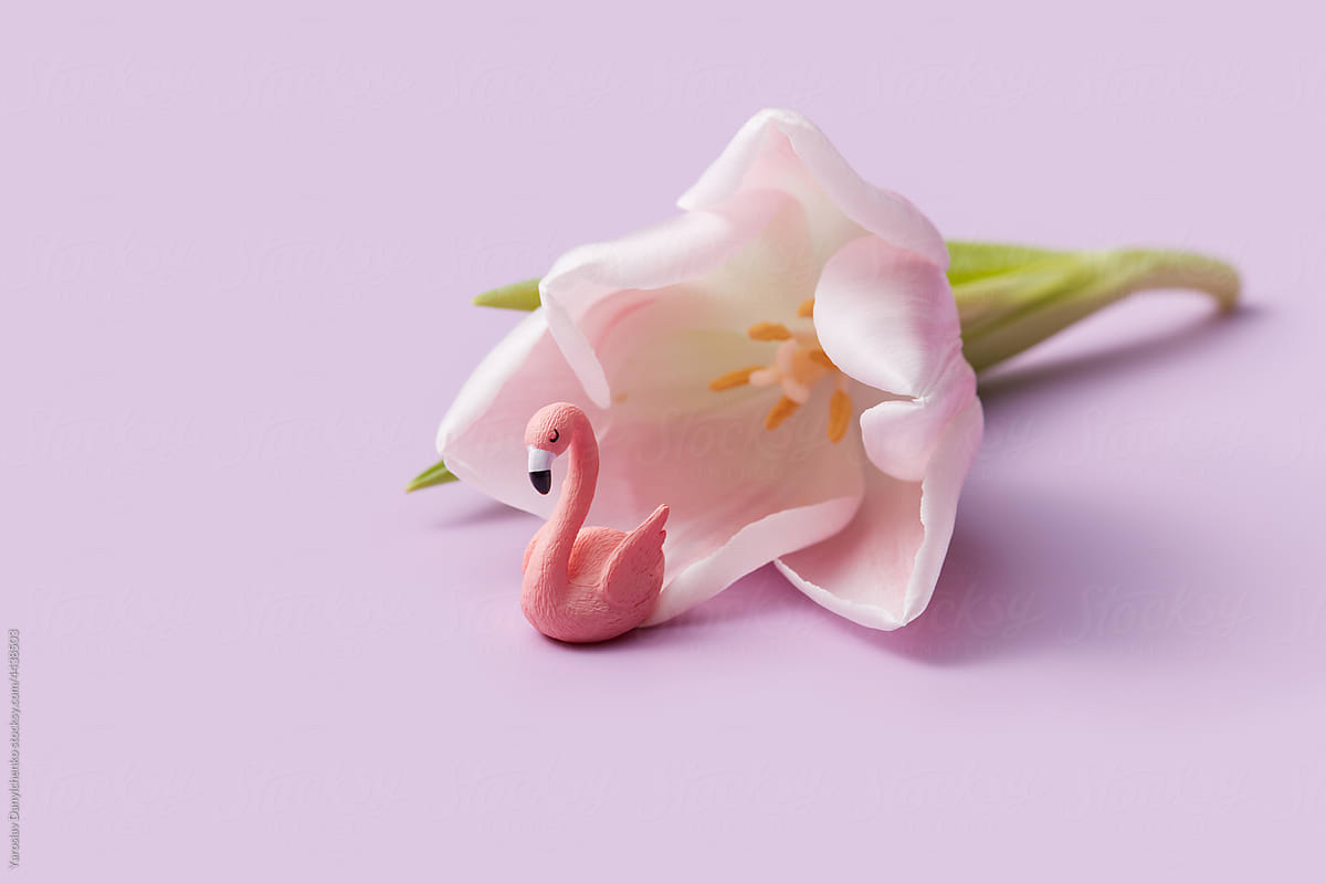 Spring tulip with pink flamingo figure