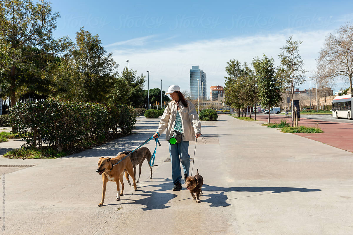 Urban woman walking dogs by the city in spring