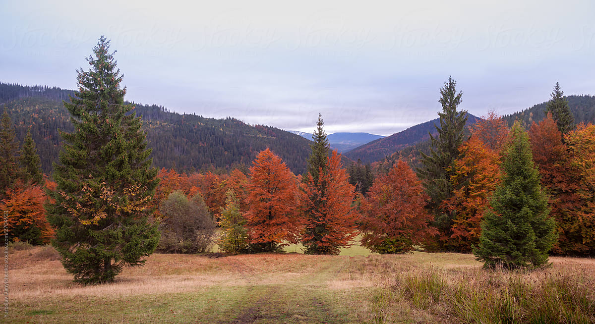 Colorful autumn mountain landscape.
