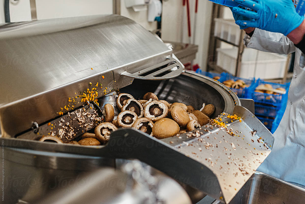 Mushrooms in a food processor