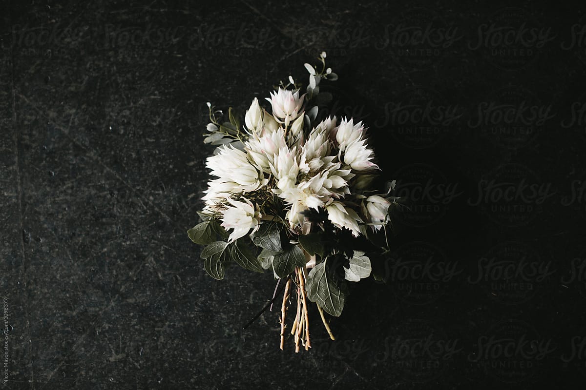 minimal flower bouquet on dark background