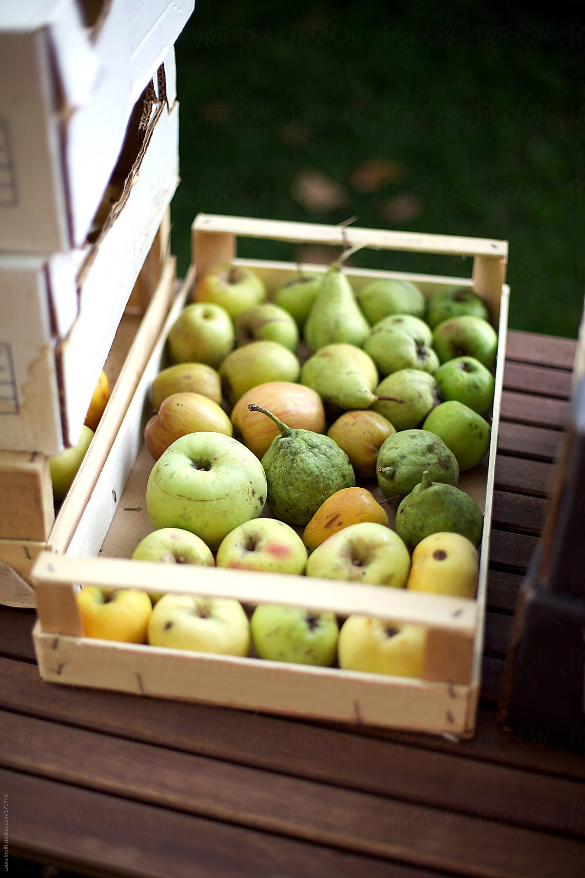 Choice of ancient and rare cultivar of fruits in wooden crate