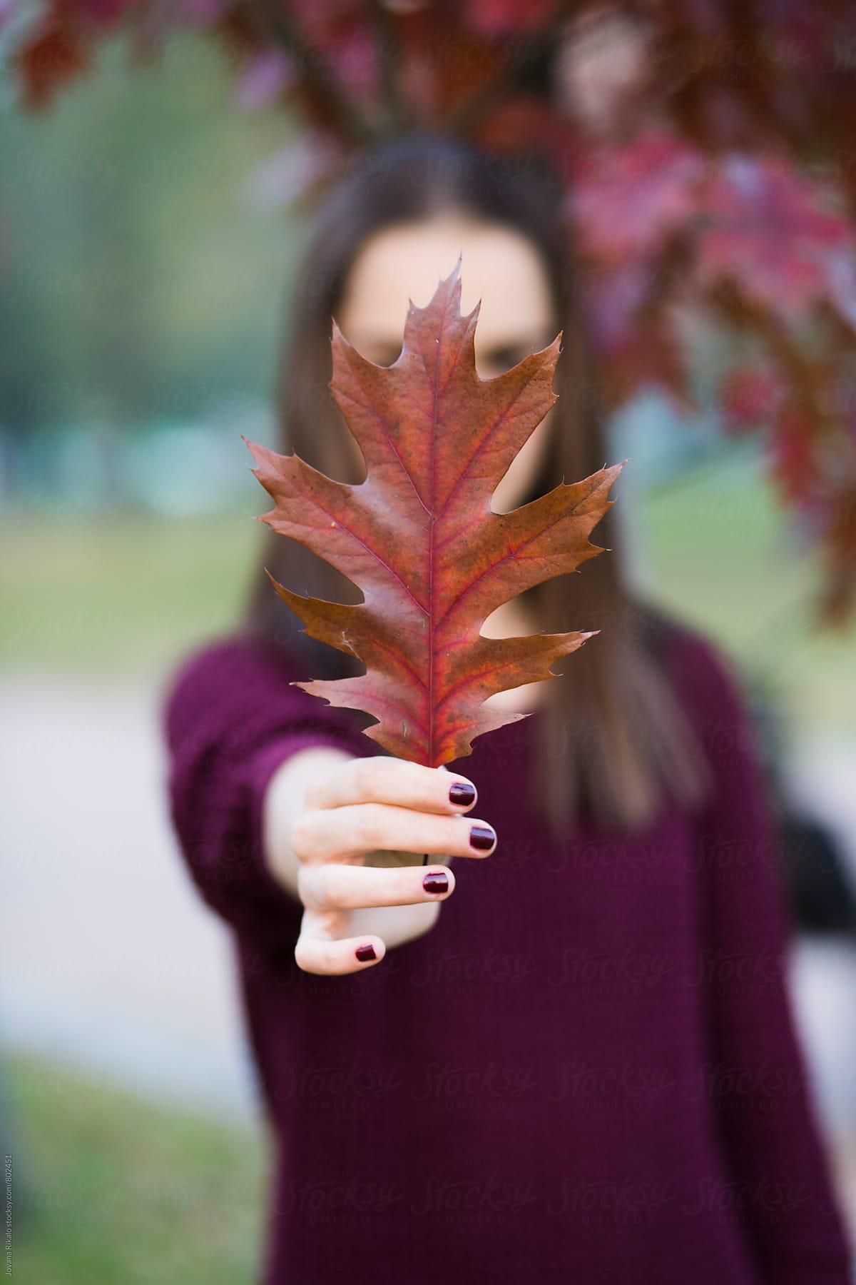 Girl Holding A Leaf By Stocksy Contributor Jovana Rikalo Stocksy