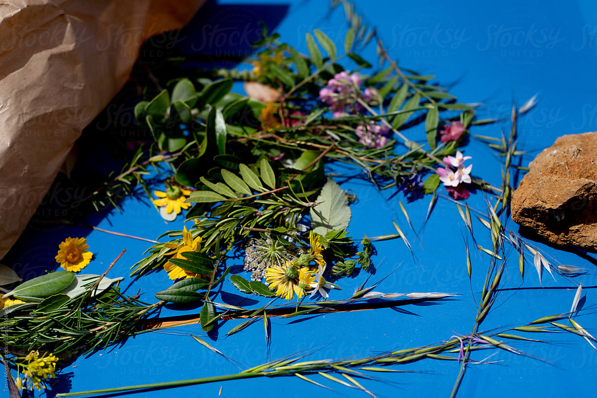Small leaves and colourful spring flowers on the table