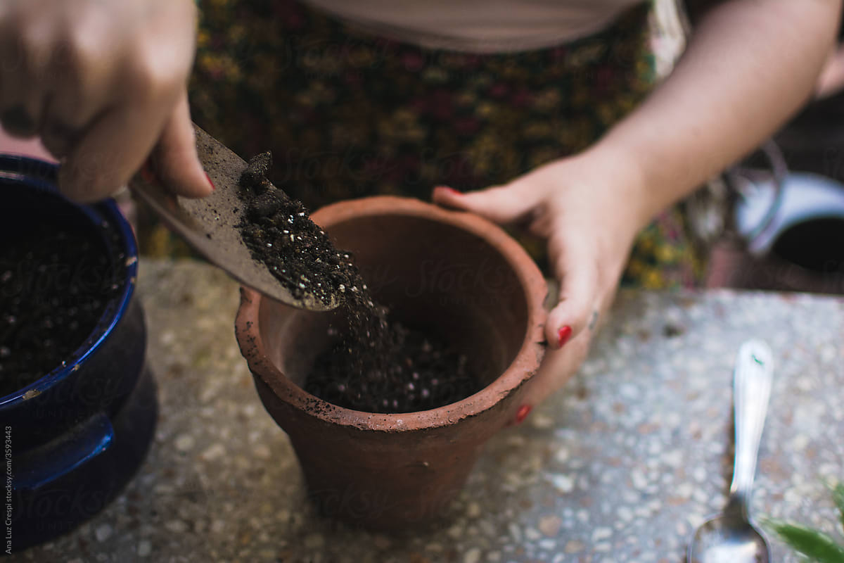 Pouring potting soil in a pot