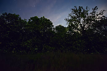 Night Sky Mat – Fetching Fields
