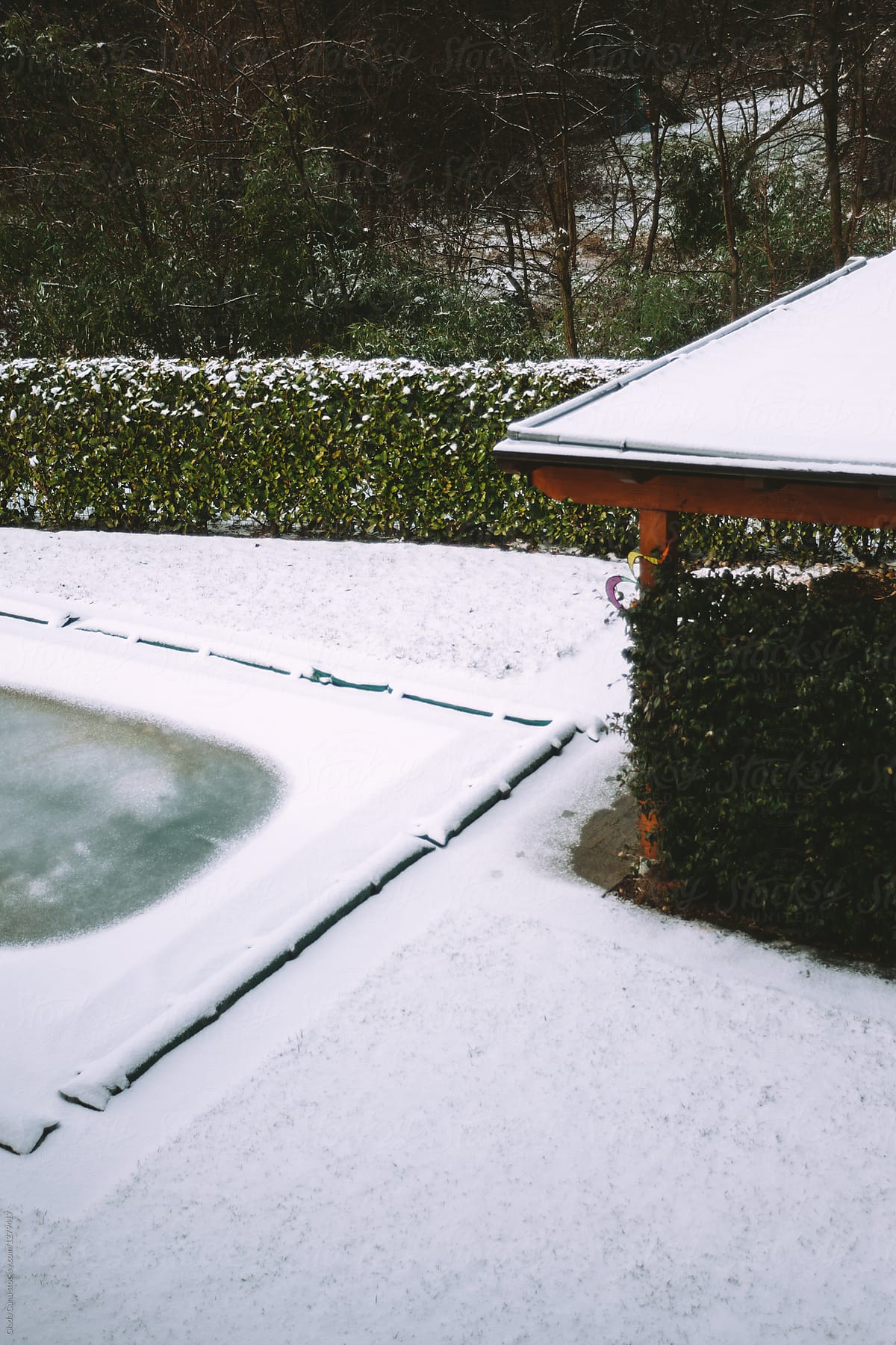 Swimming pool in winter