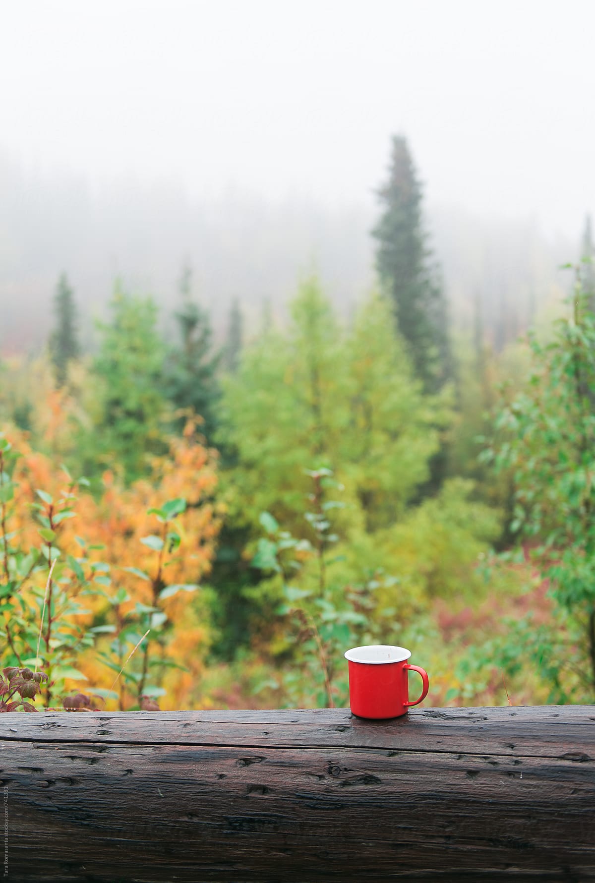 coffee in a camp mug outside on a misty morning