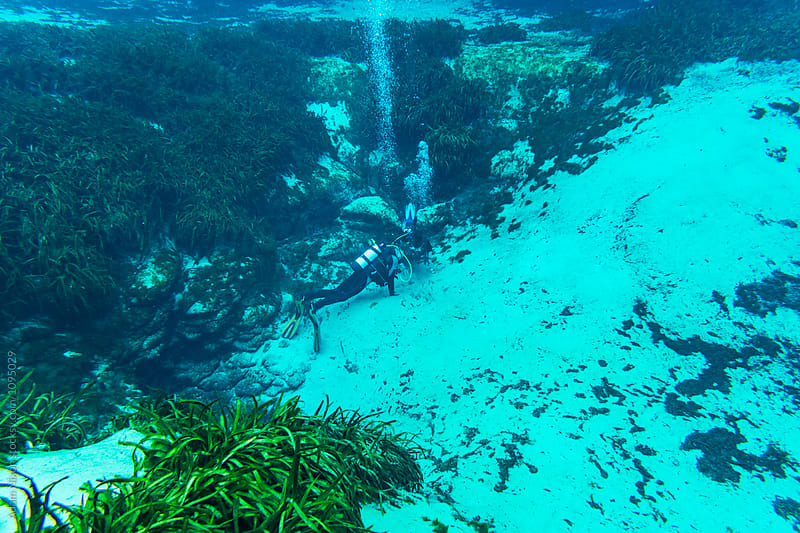 Anonymous scuba divers at the opening of a fresh water spring, Florida