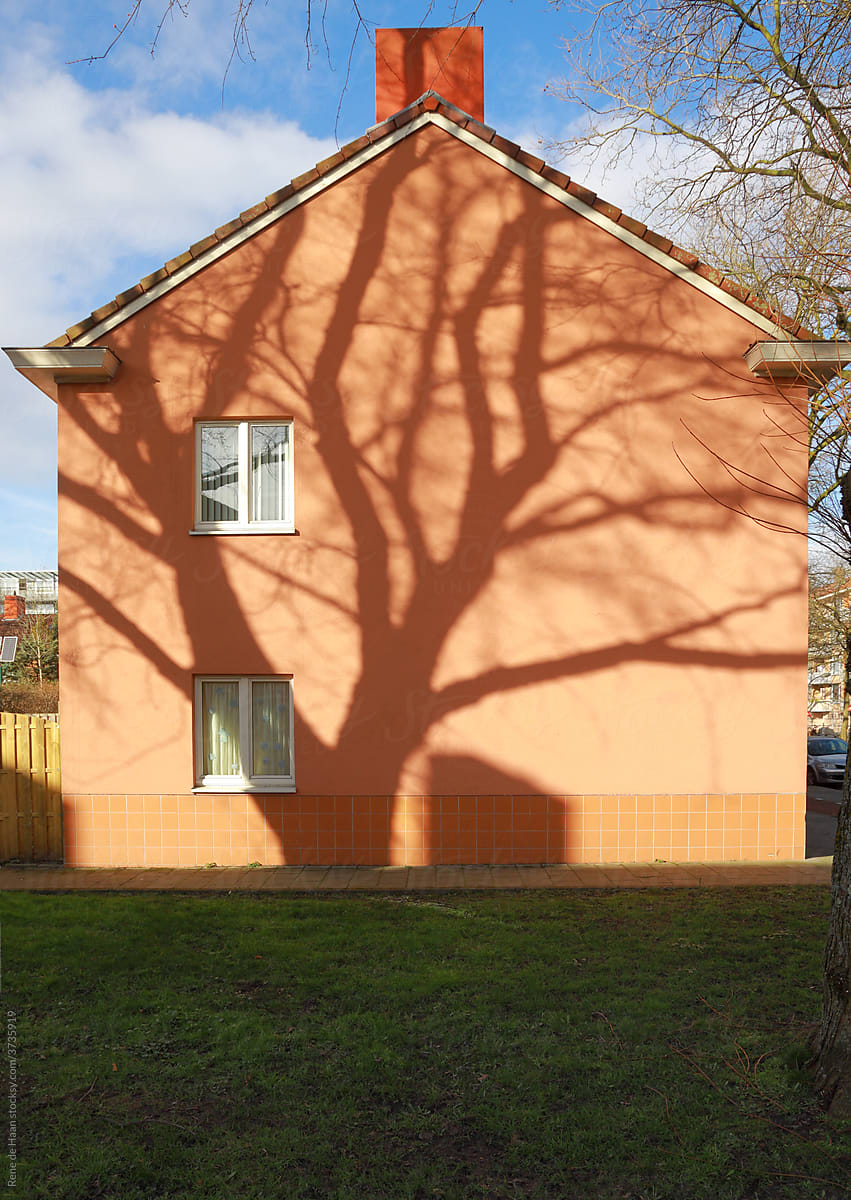 shadow of big tree on house