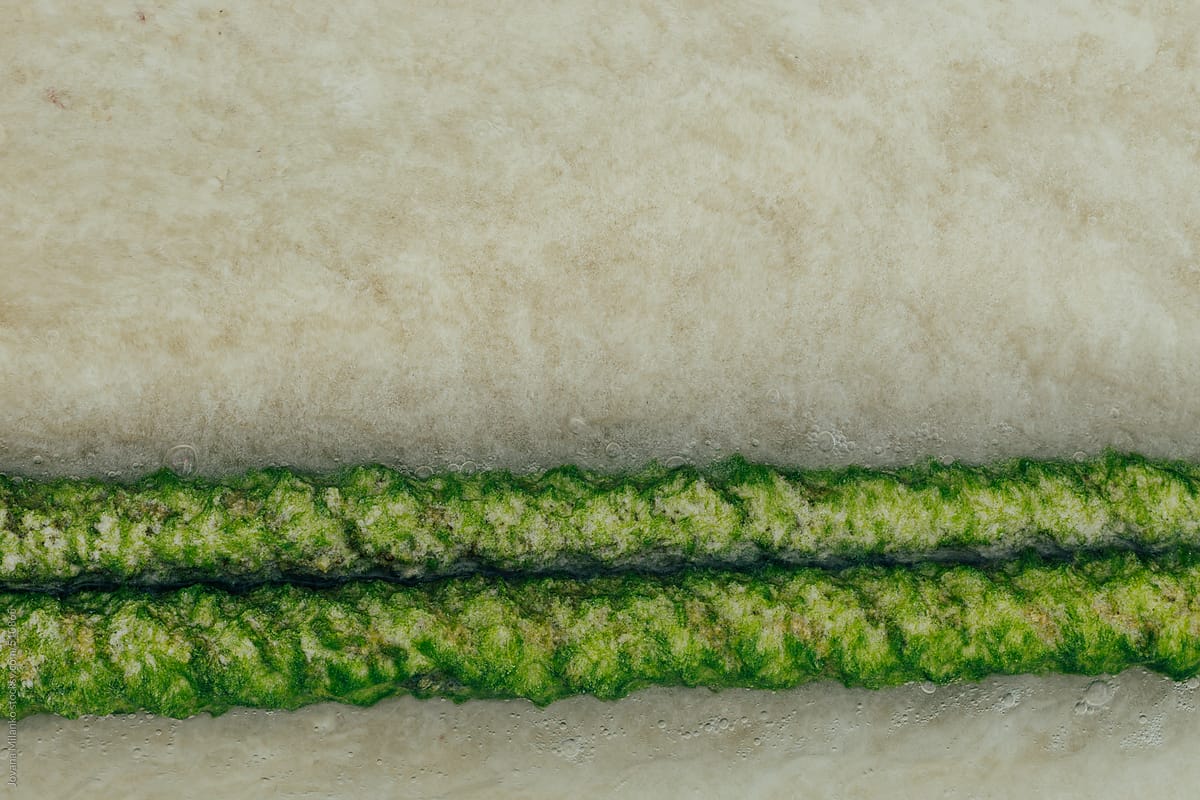 Rope covered in algae