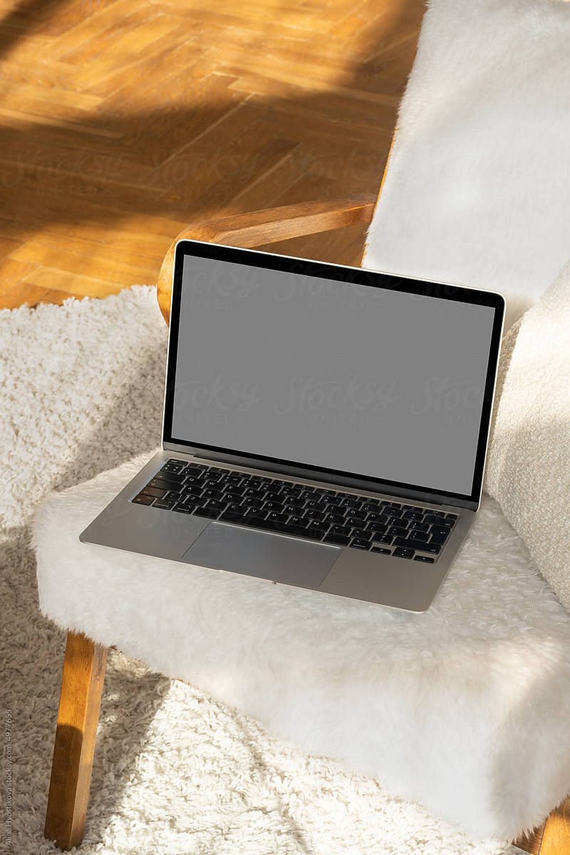 Contemporary netbook placed on armchair
