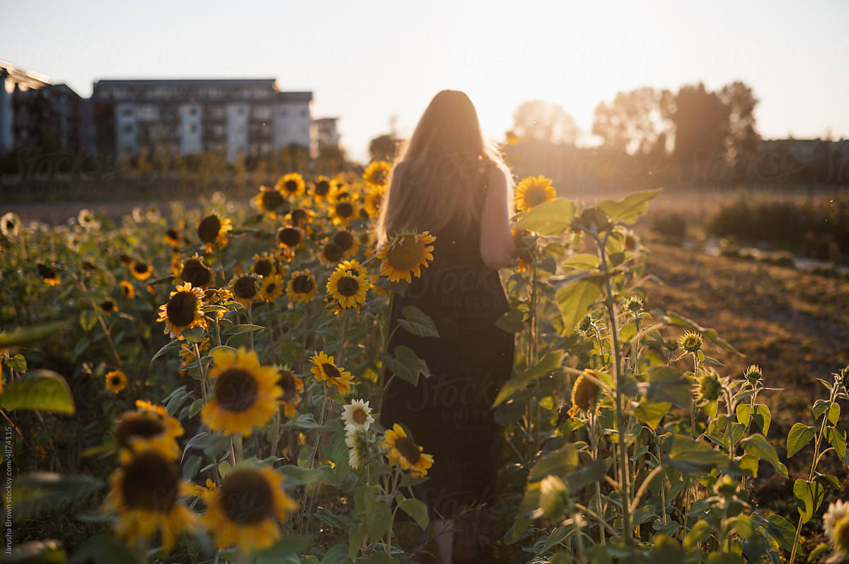 Woman in a summer dress stands in a sunflower field at sunset.