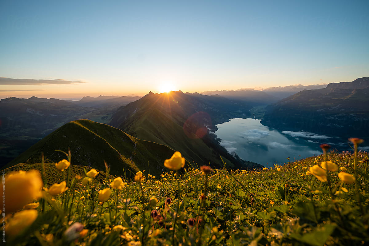 Spring-time feels in the alps mountains.