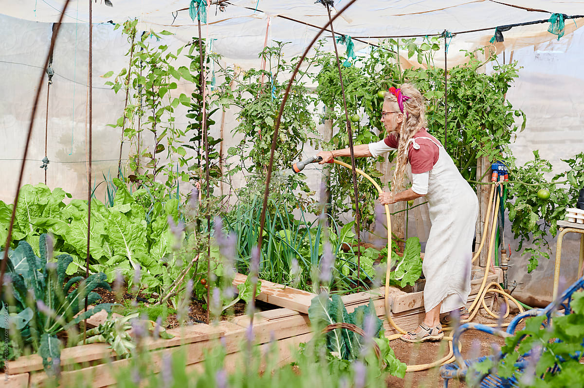 Senior woman watering veggies in her greenhouse