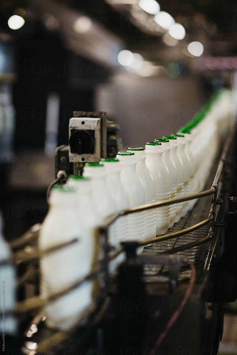 Plastic milk bottles in a milk factory