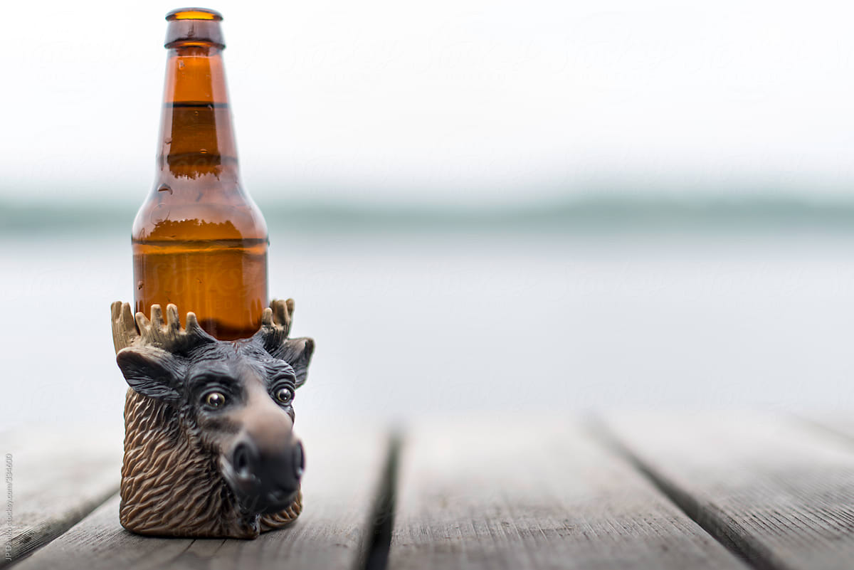 Funny Moose Beer Koozie On the Dock At Summer Cottage