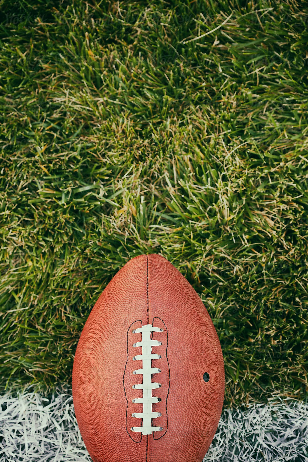 Football: Ball On Field Line With Copyspace