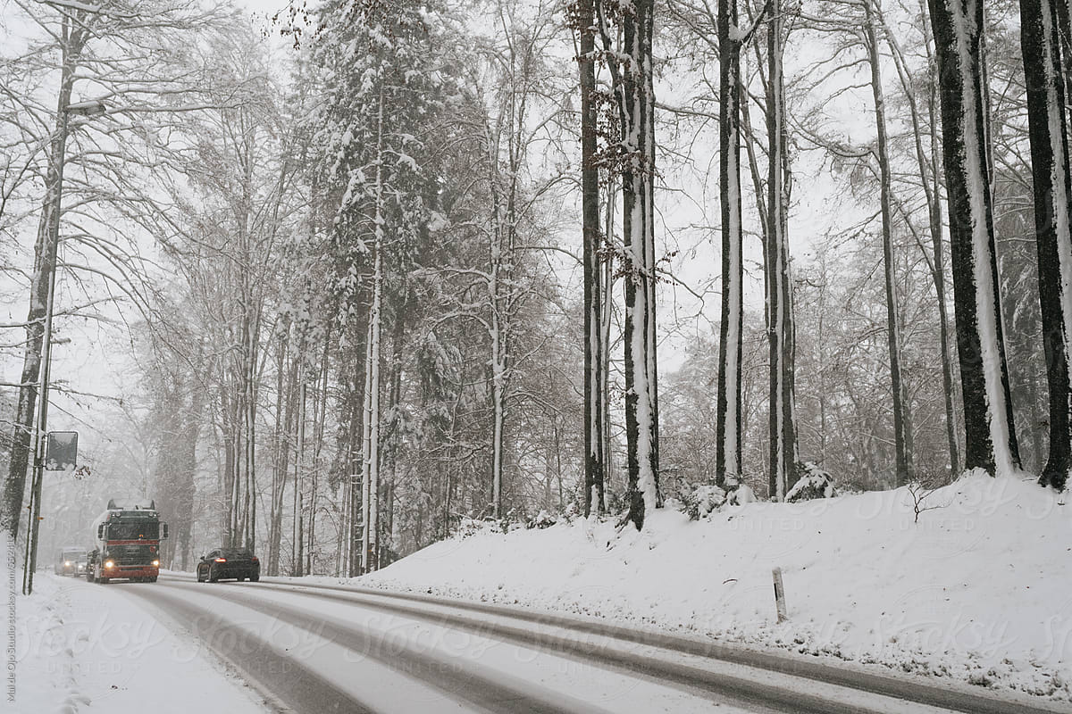 Snowy Road through Forest