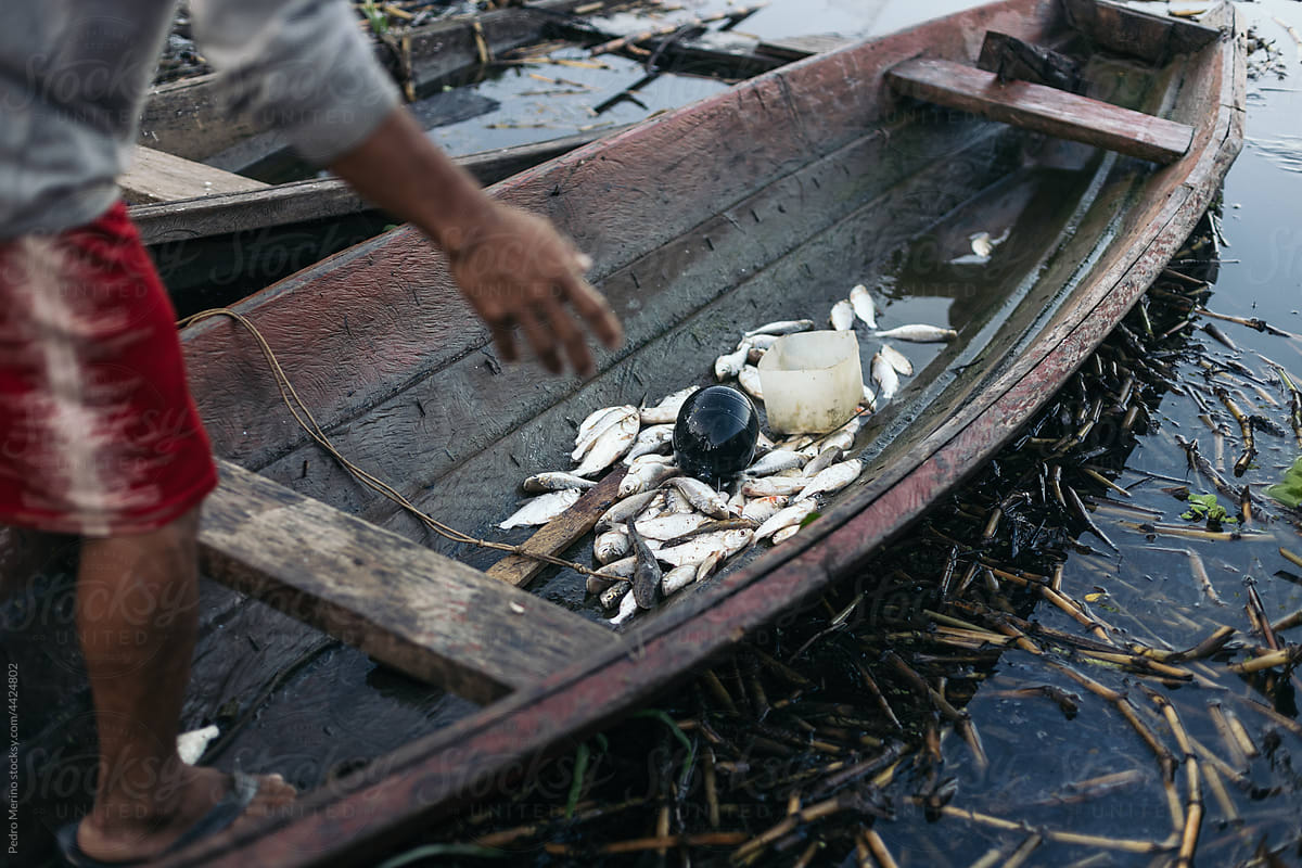 Collecting the fish in a small wooden boat