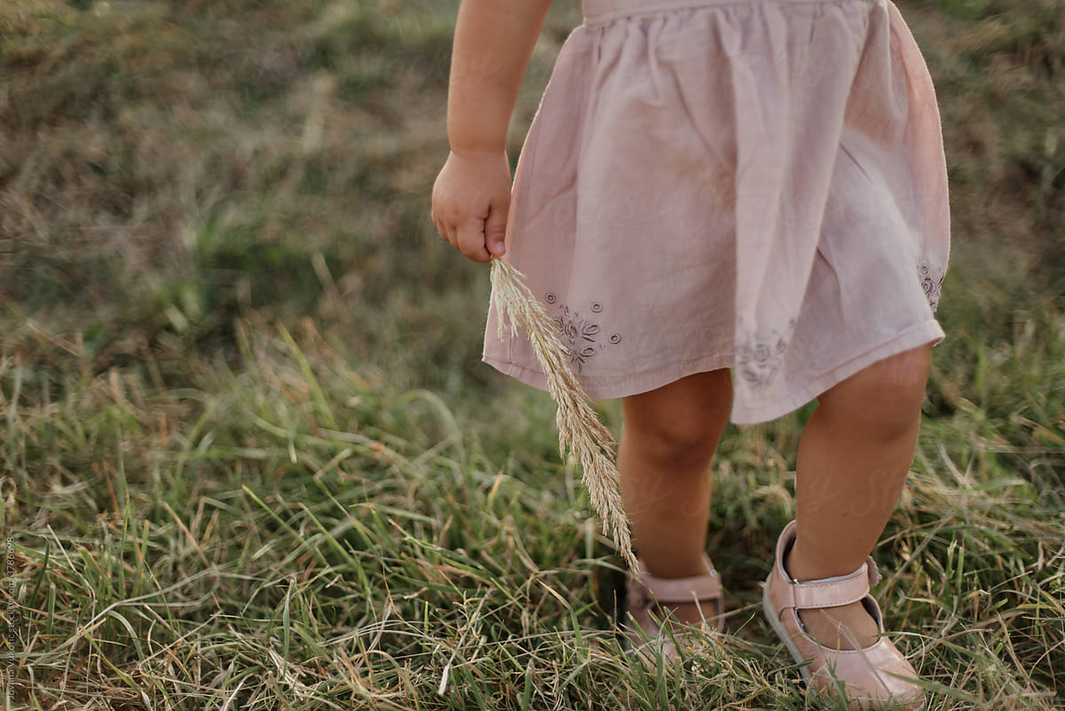 Toddler  girl walks across the field