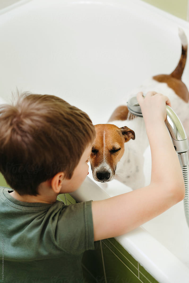 Young boy washes obedient pet dog.
