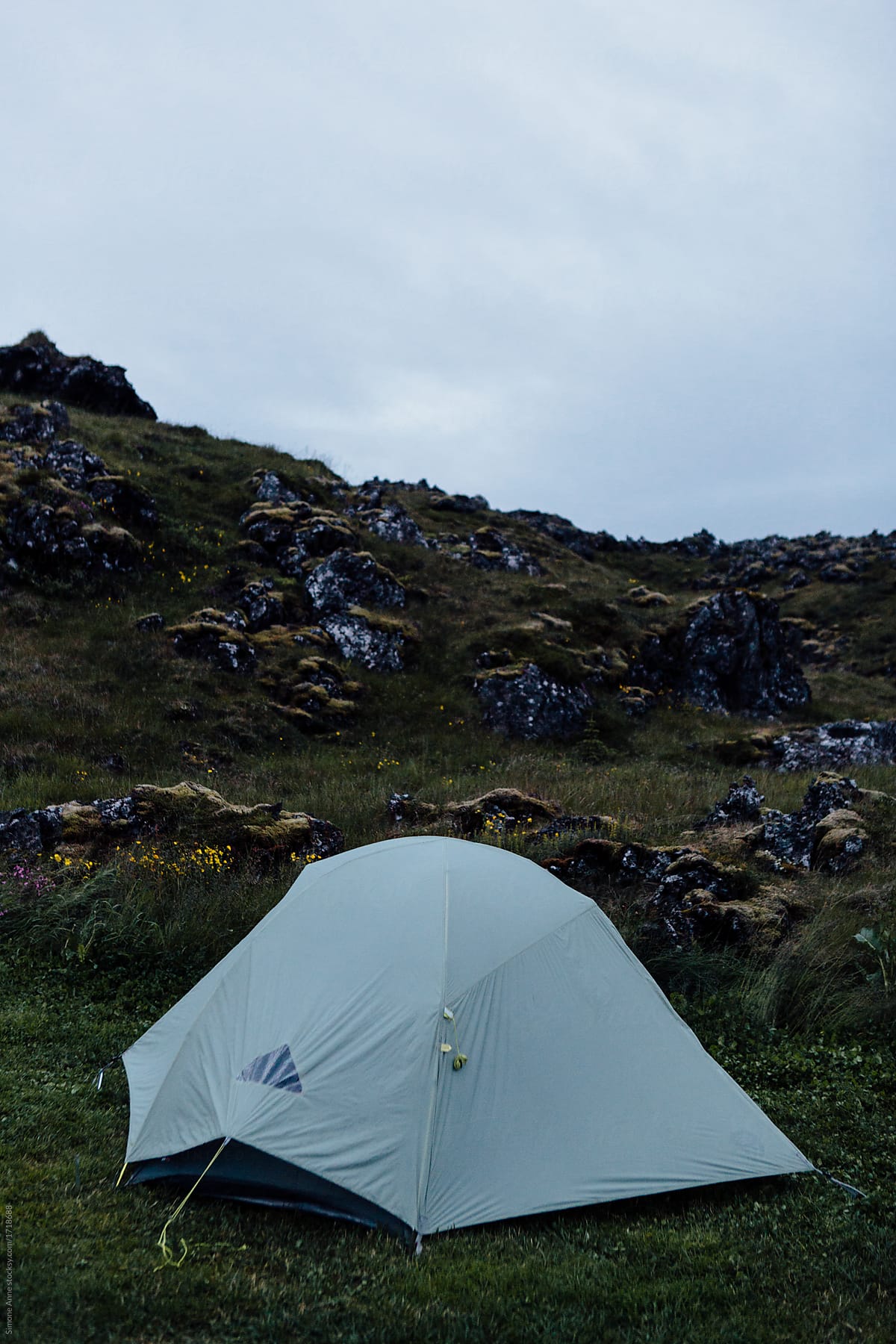 Camping tent set up in front of volcanic rocks and green grass in Iceland
