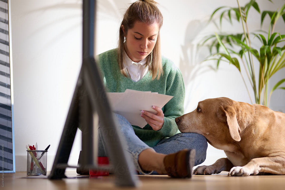 Focused Work with a Supportive Pet by Side